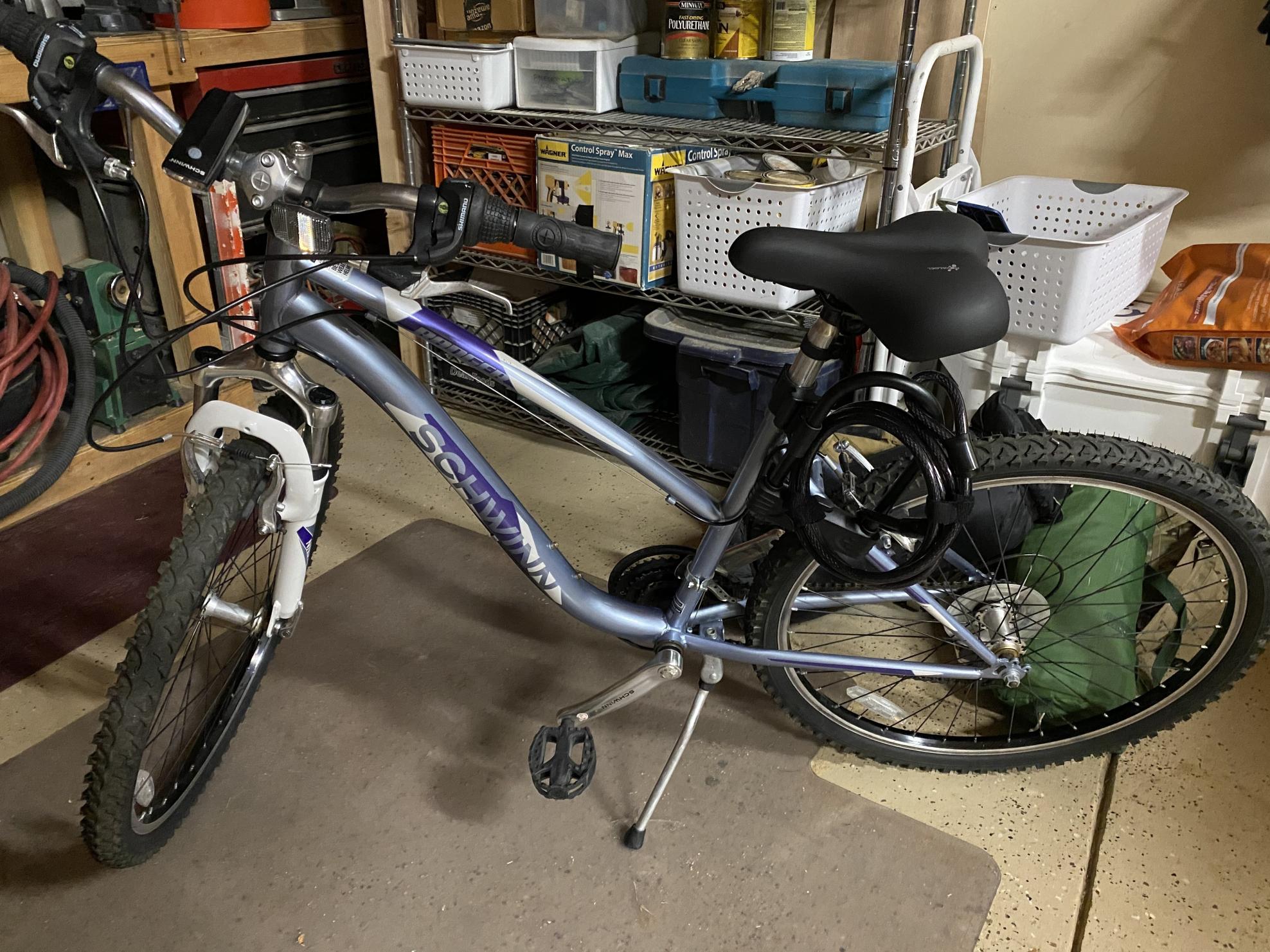 Schwinn Ranger Silver, gray or bare metal