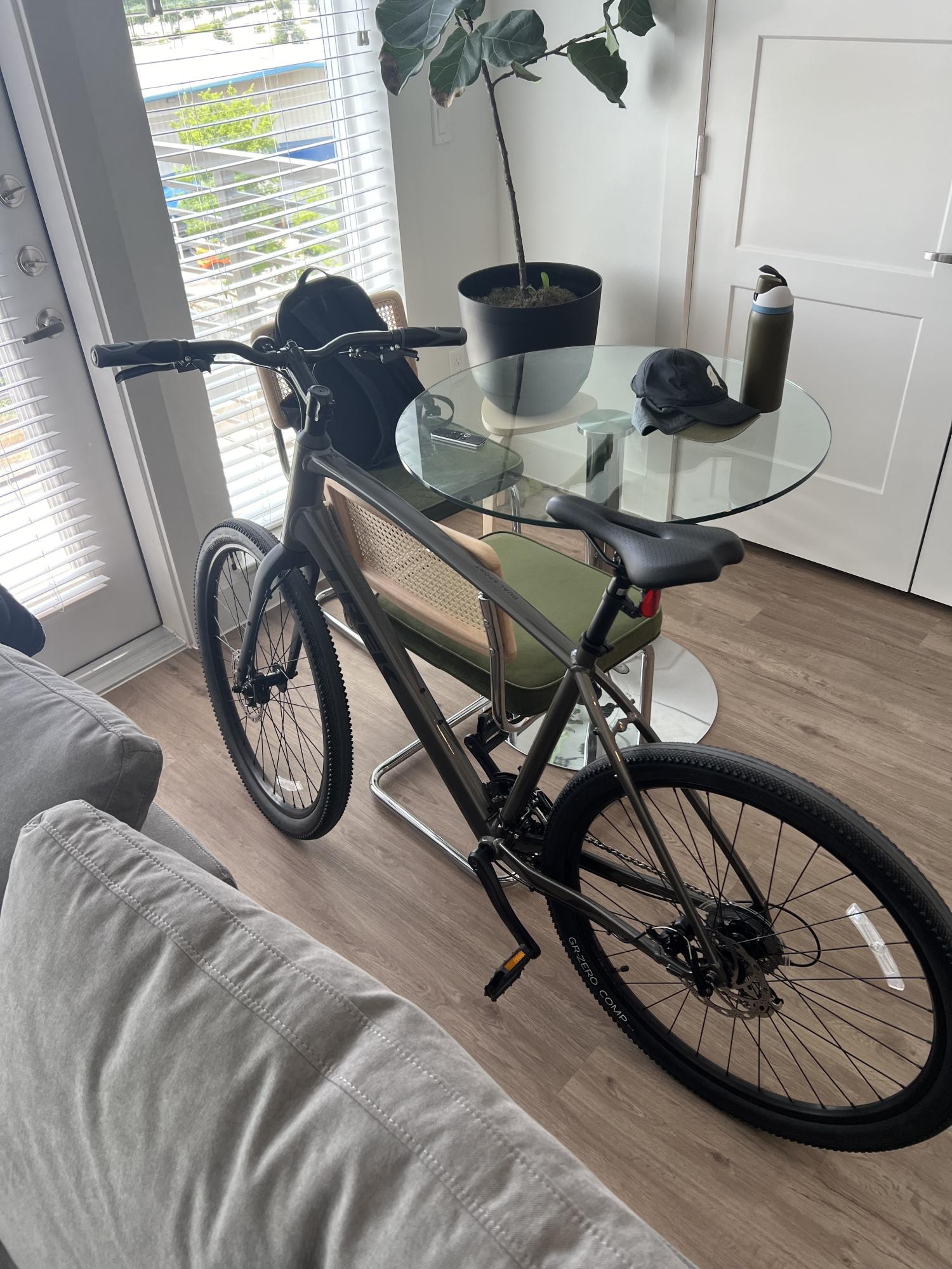 2024 Trek Dual Sport Silver, gray or bare metal