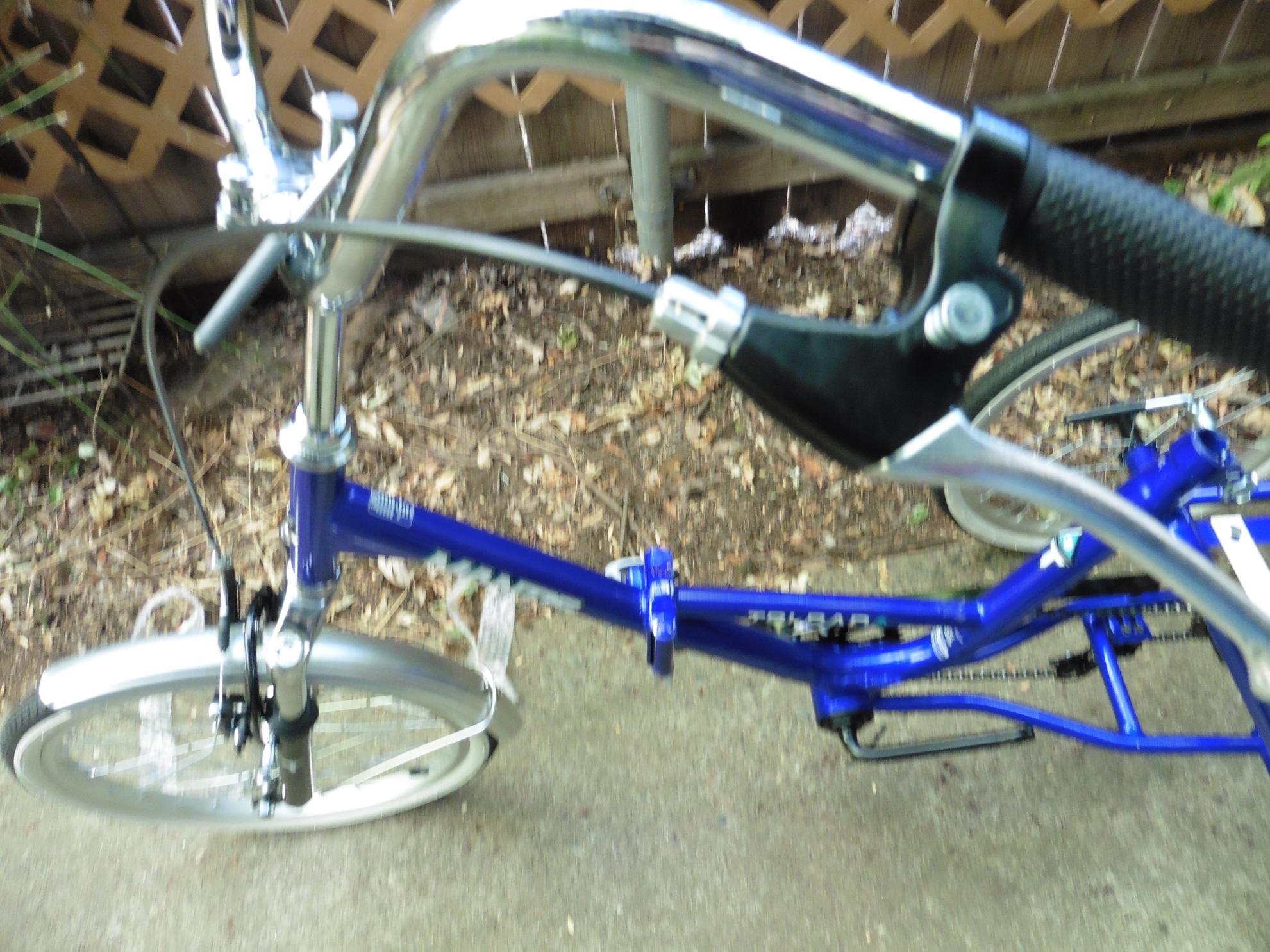 2017 Mongoose Adult 20 in. tricycle Blue