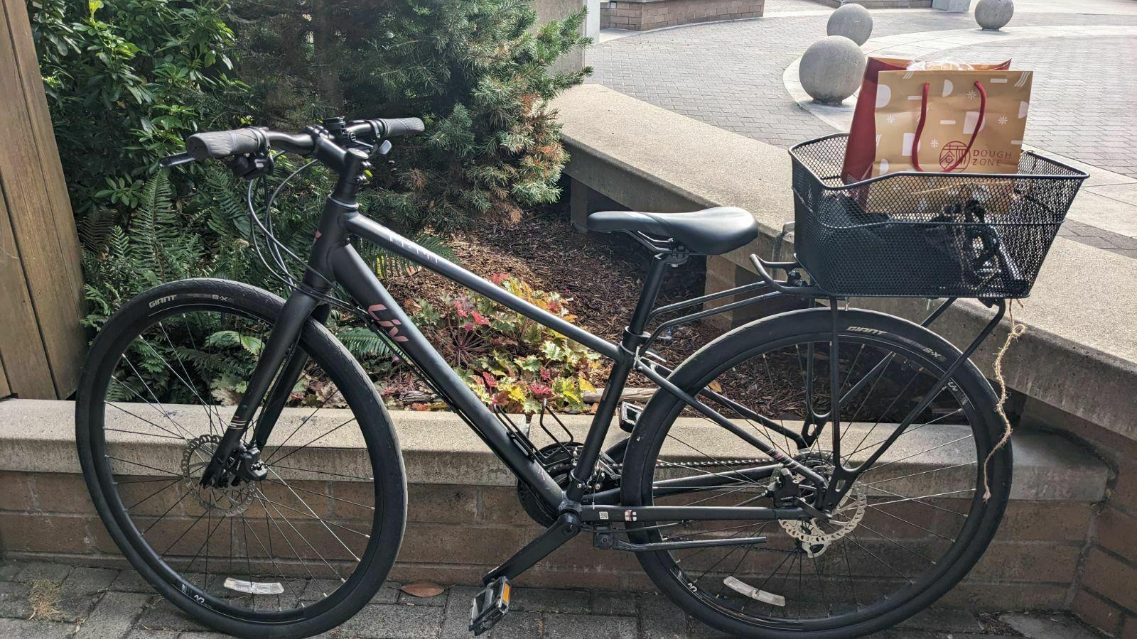 Liv Alight DD Disc Black