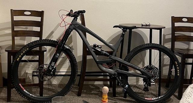 2019 YT Capra Silver, gray or bare metal