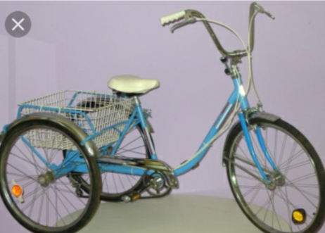 Sears Roebuck free spirit tricycle Blue