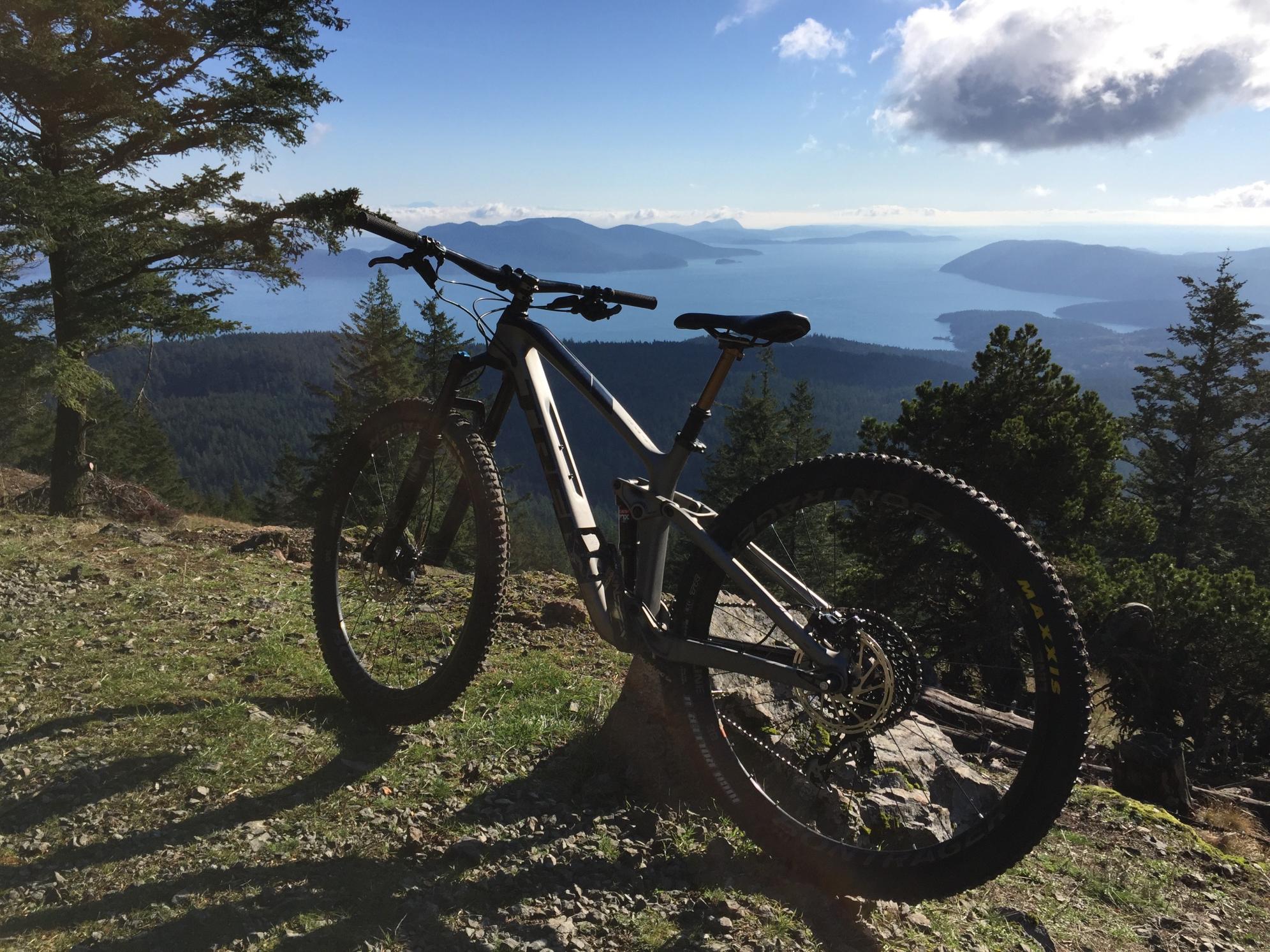 2018 Trek Fuel EX 9.8 29 Silver, gray or bare metal