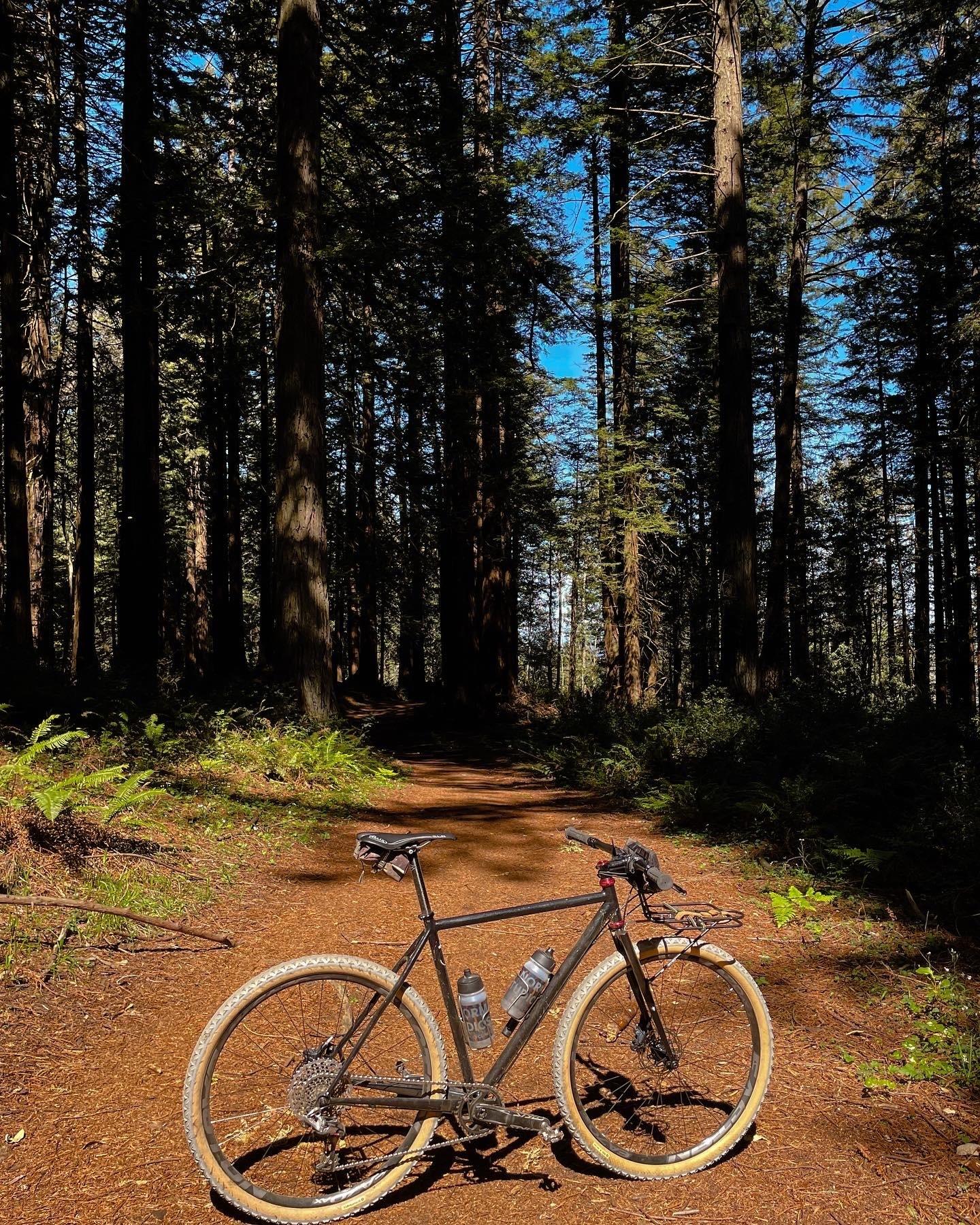 Stinner Gravel frame with steel fork Black