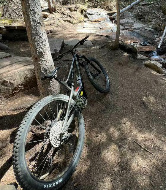 2022 Rocky Mountain Bicycles MD Silver, gray or bare metal and Black