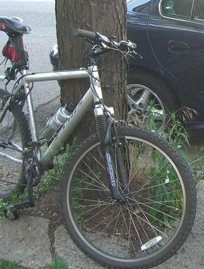 2005 Jamis Mountain Bike  Black