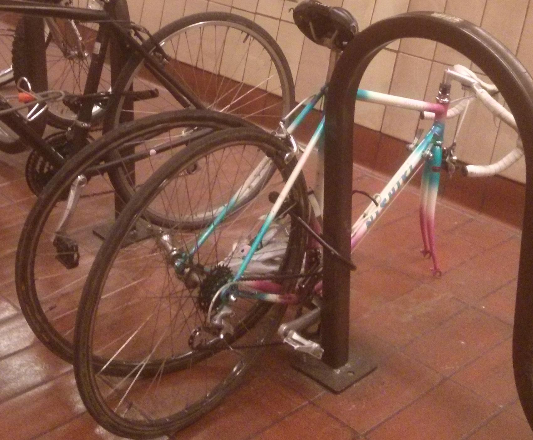 Nishiki MODULUS  Pink, White, and Teal