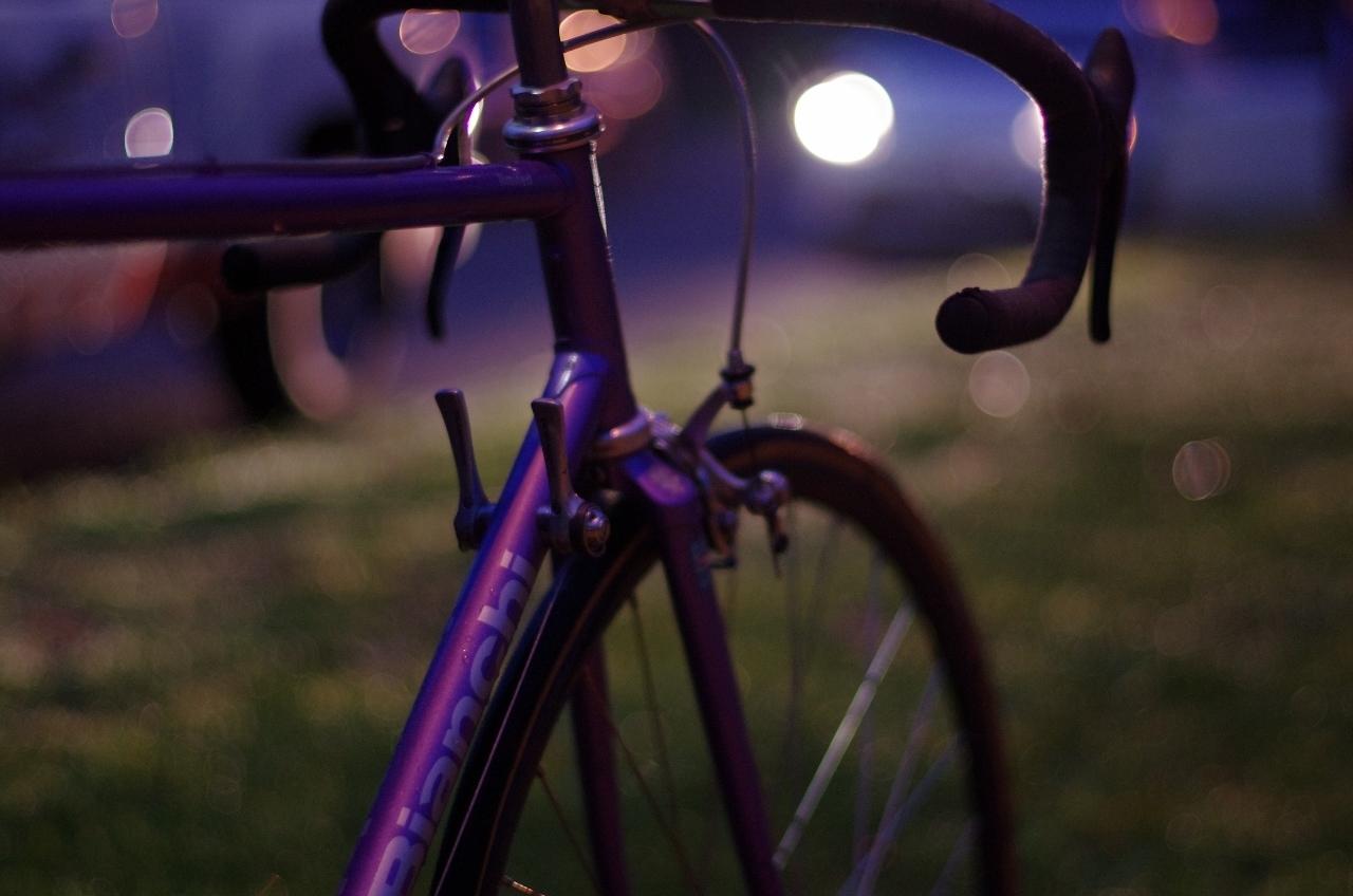 Bianchi Limited Purple