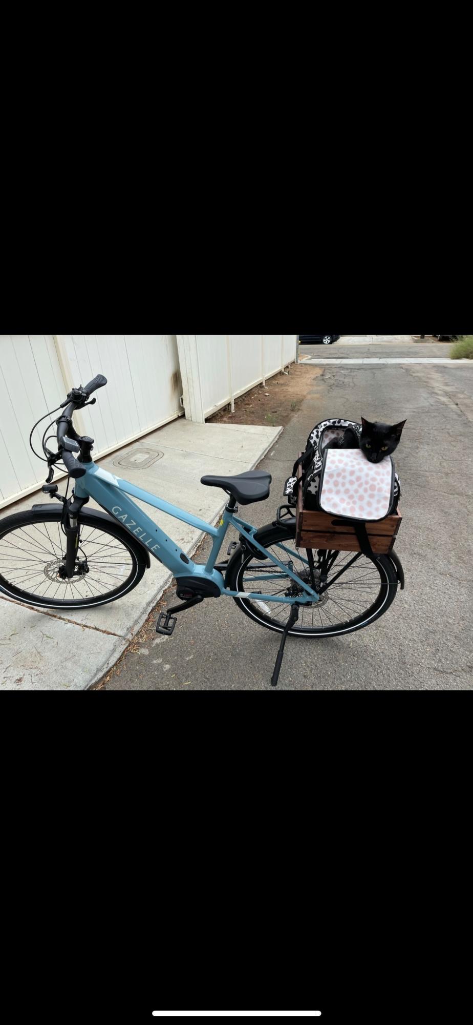 2021 Gazelle Medeo T10 HMB Blue