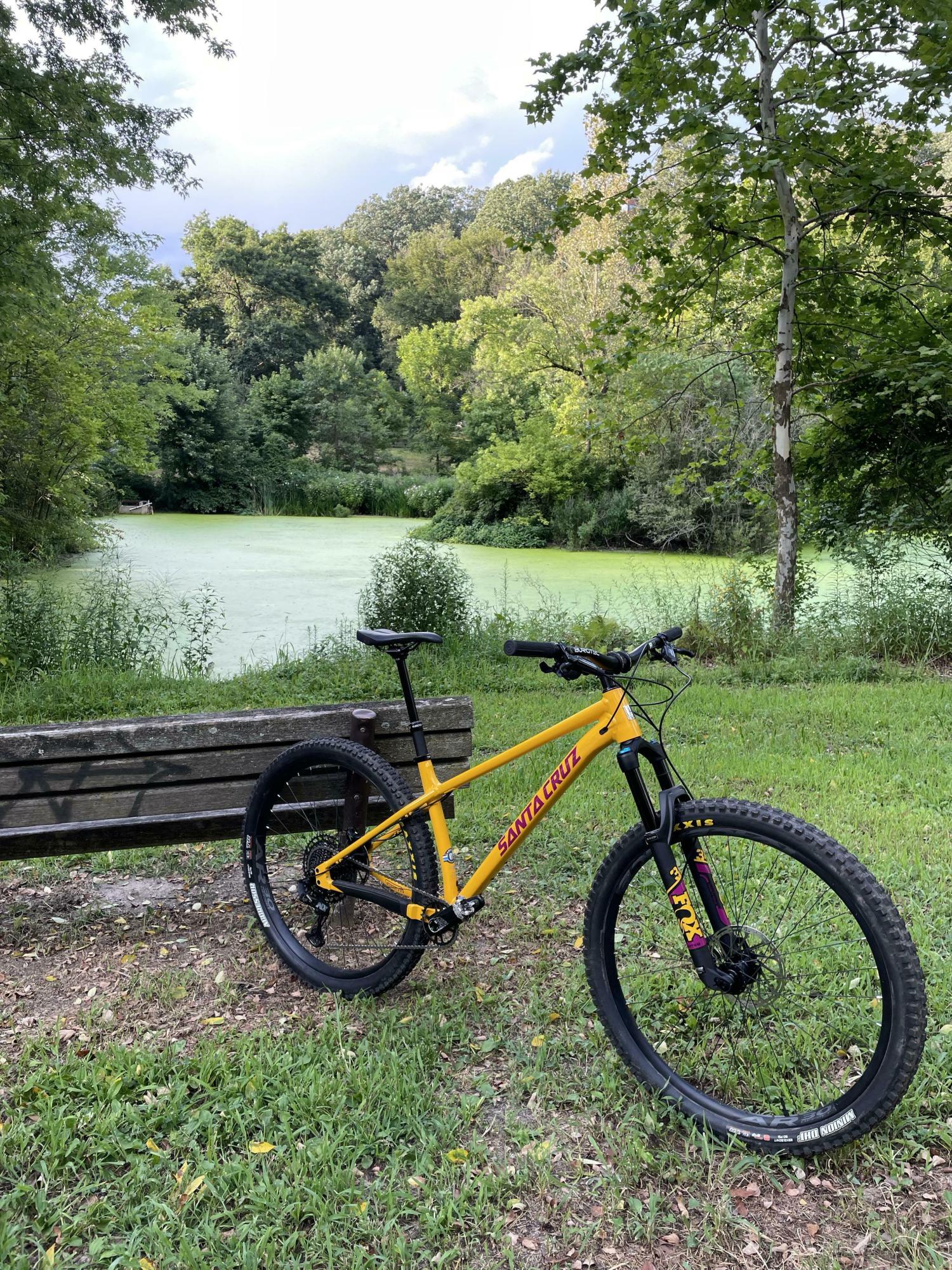 2022 Santa Cruz Chameleon Yellow or Gold