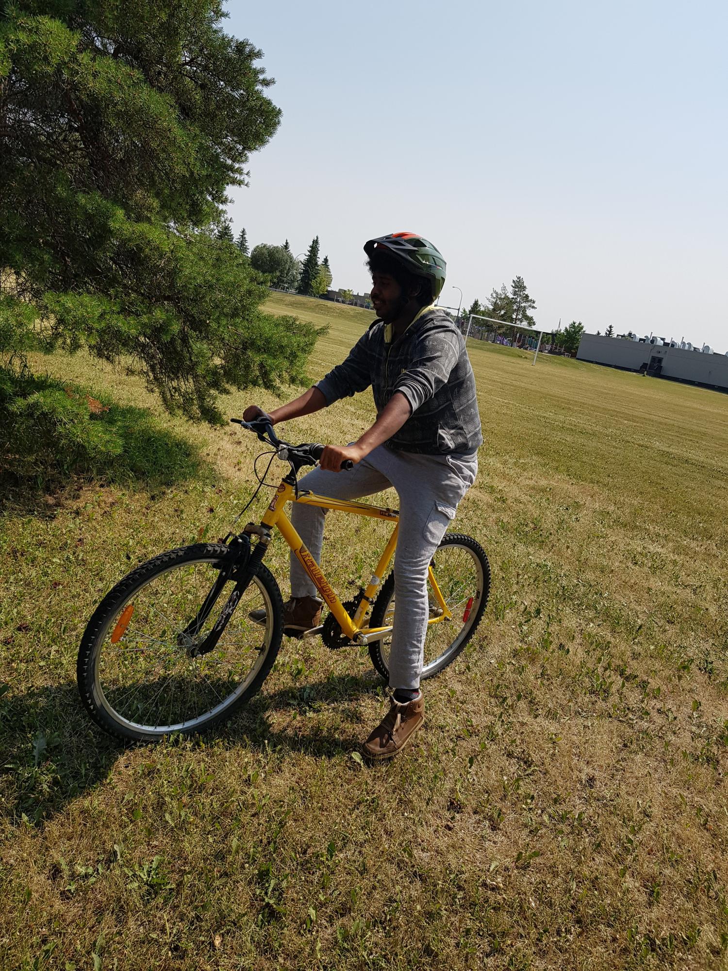 Raleigh Mountain Bike Yellow or Gold