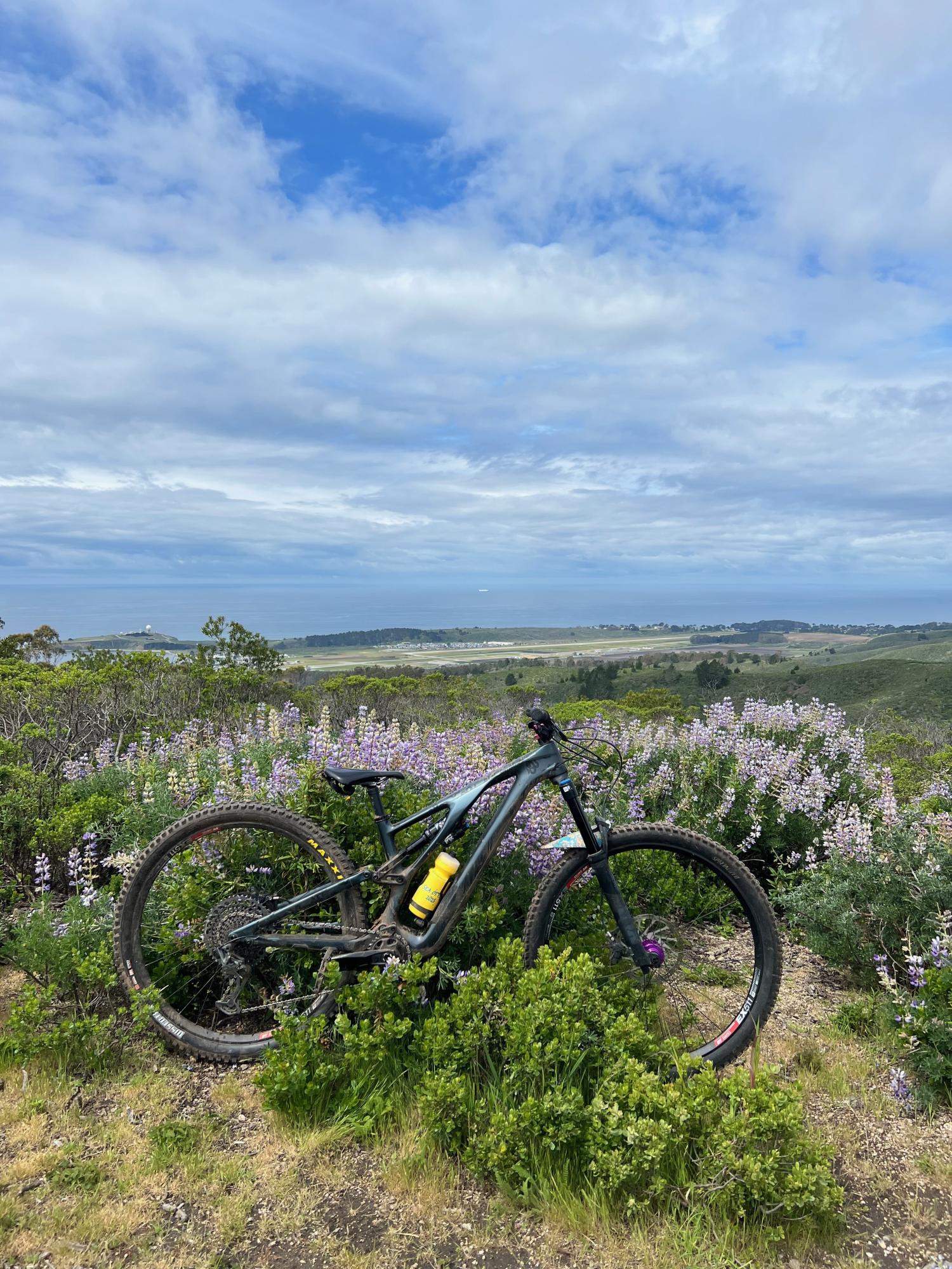 2022 Specialized Stumpjumper Evo Expert Blue