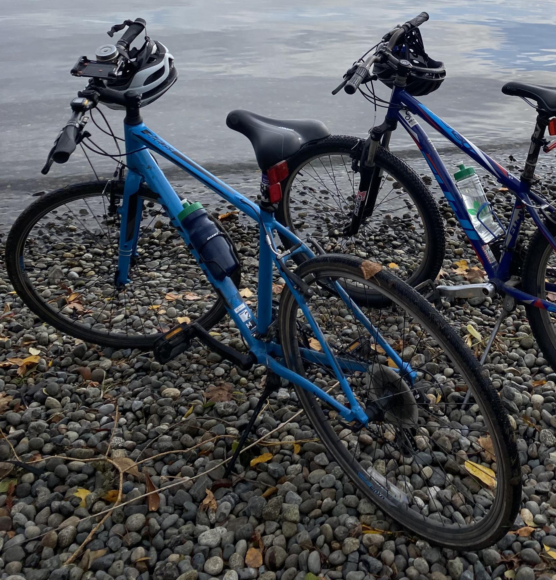 2018 Giant Escape 2 Blue