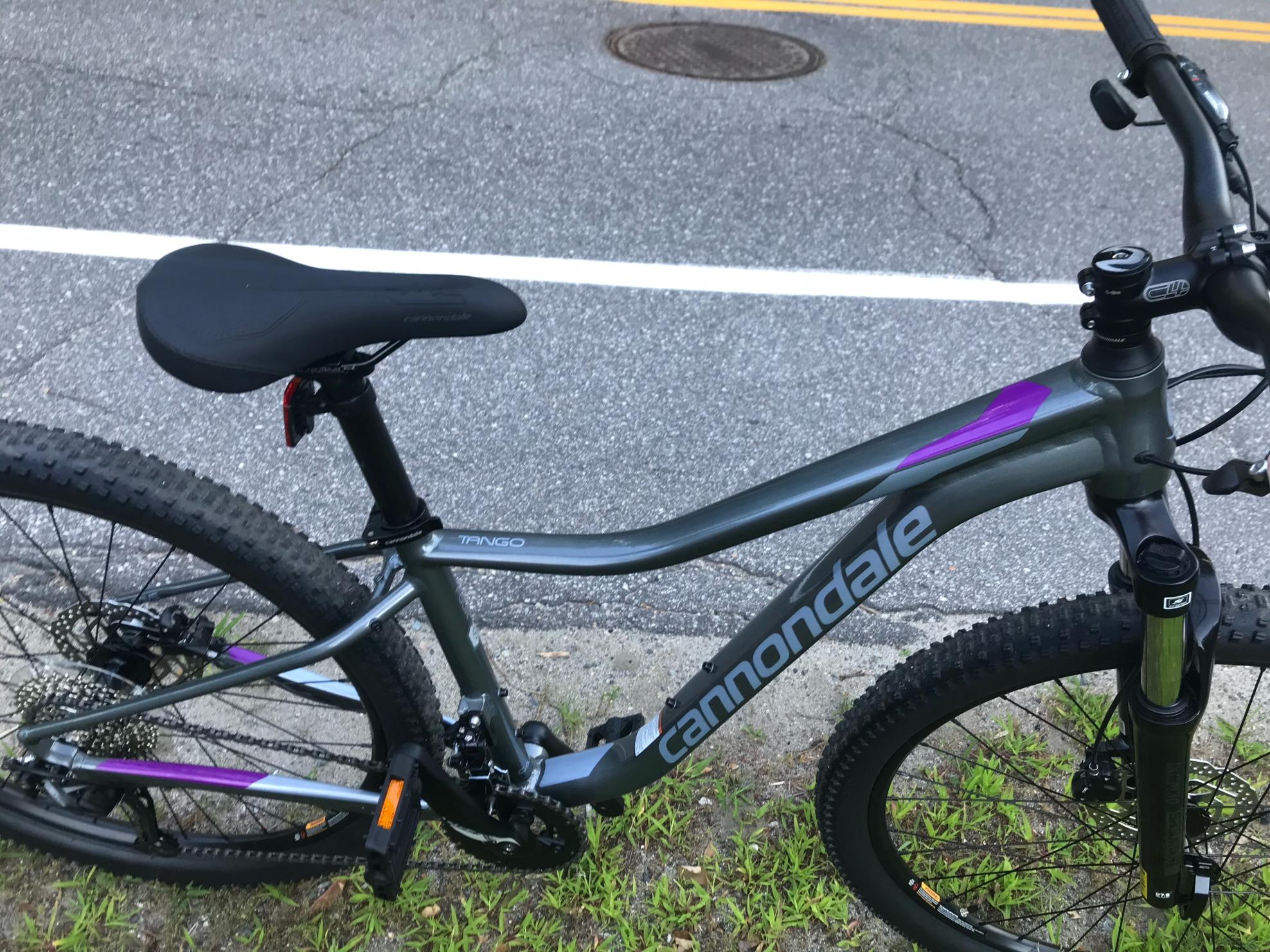 2020 Cannondale Tango 4 Silver, gray or bare metal