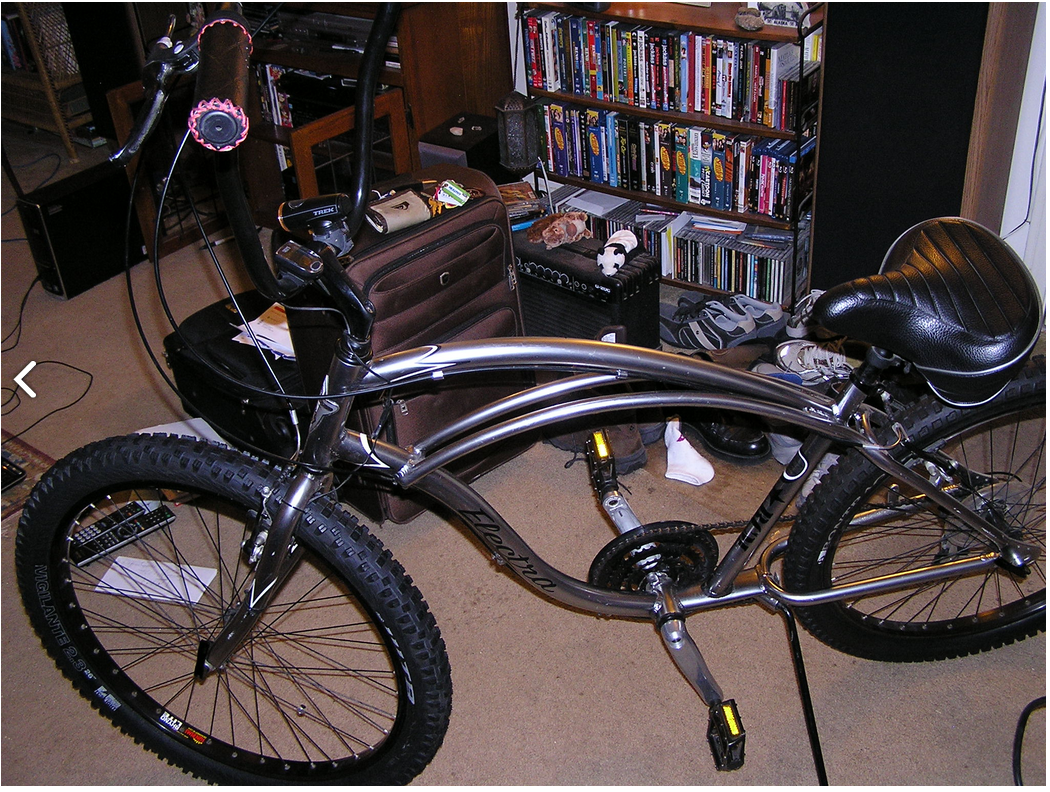 2007 Electra Coaster 7 Silver or Gray