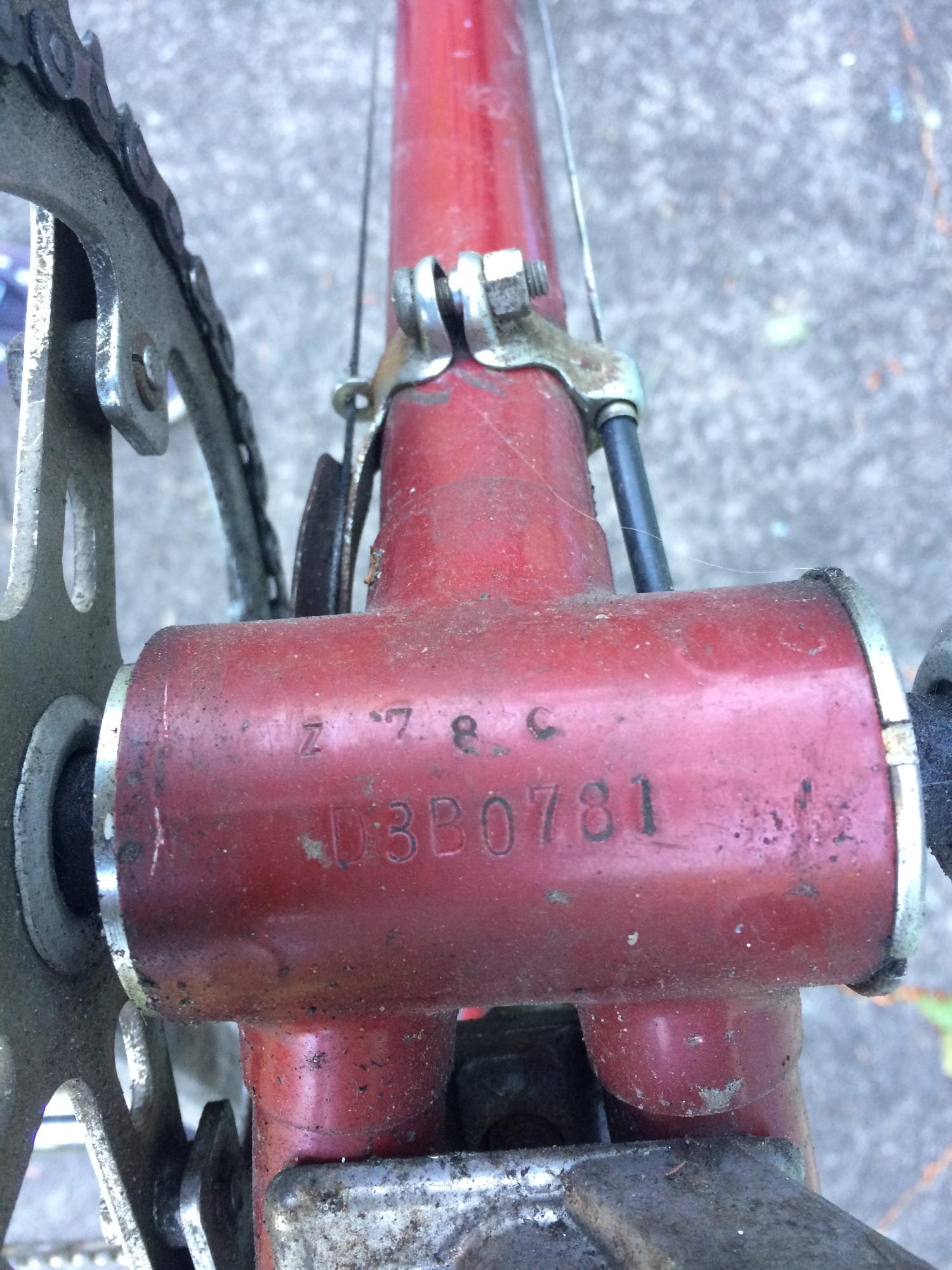 Zebrakenko Golden Sports Red