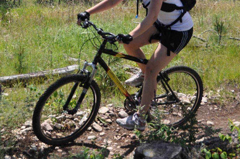2004 Gary Fischer Mountain Bike  Black