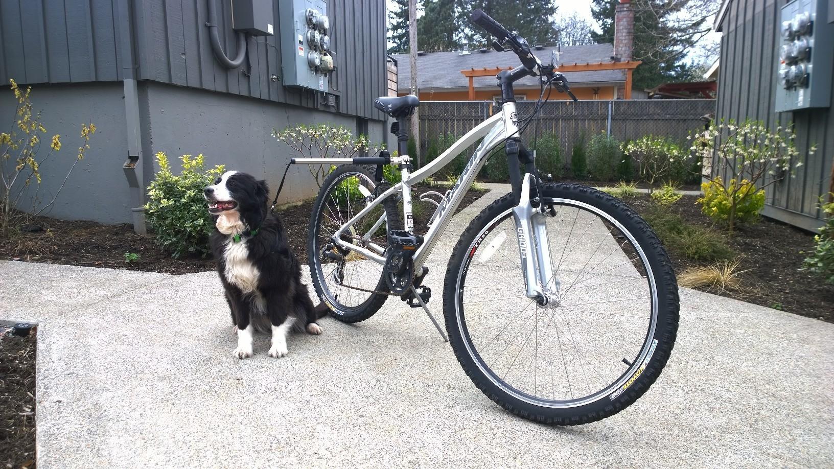 2006 Marin Bikes Bolinas Ridge Silver or Gray