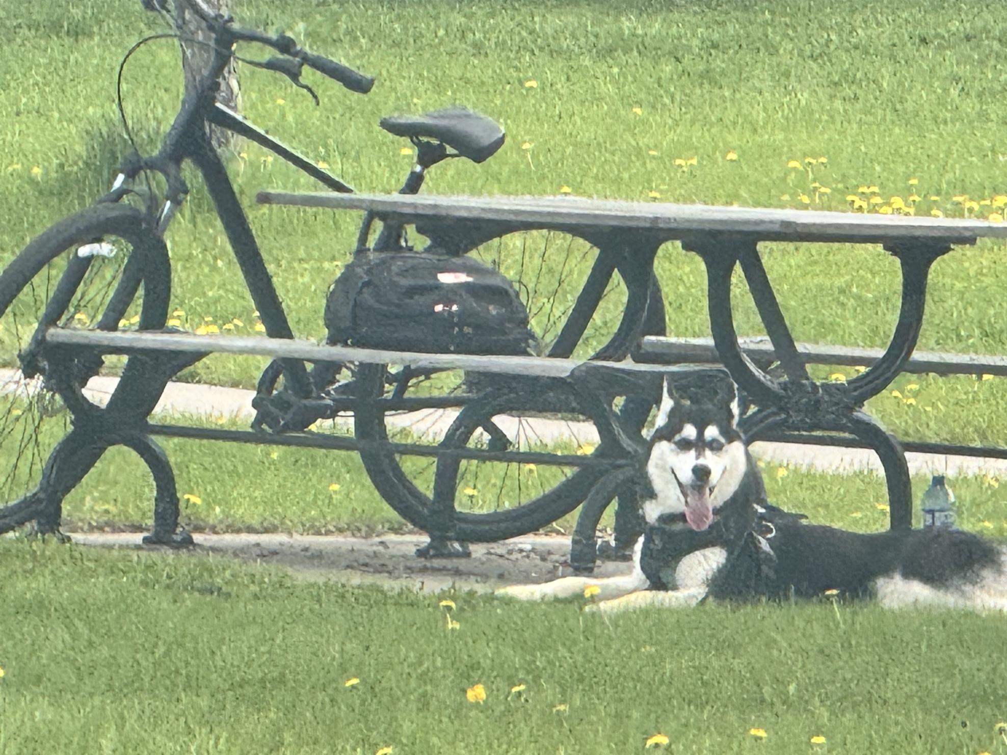 2024 Giant Giant Cypress 2 Comfort Bike 2024 Bla... Black