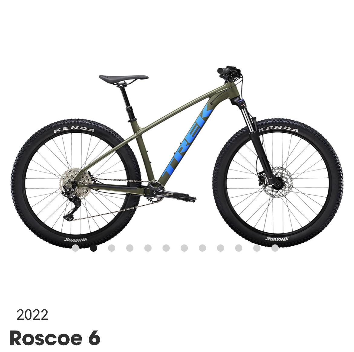 2022 Trek Roscoe 6 Green
