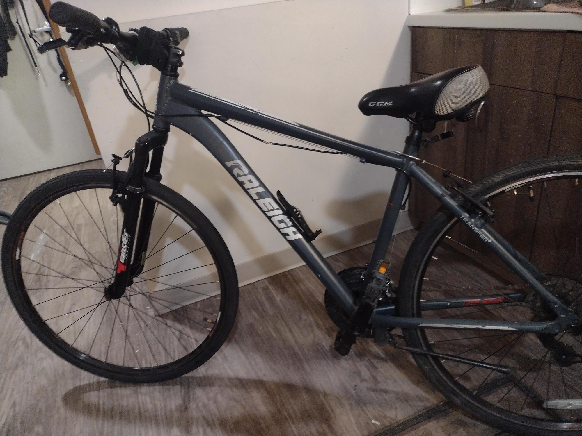 2021 Raleigh Silver, gray or bare metal