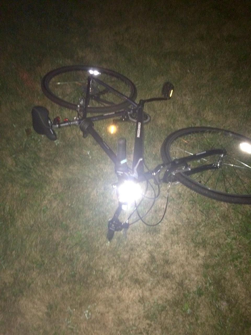 Nishiki Montour Blue