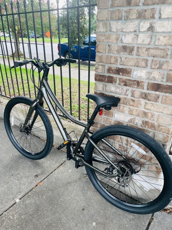 2022 Giant Momentum Vida Silver, gray or bare metal