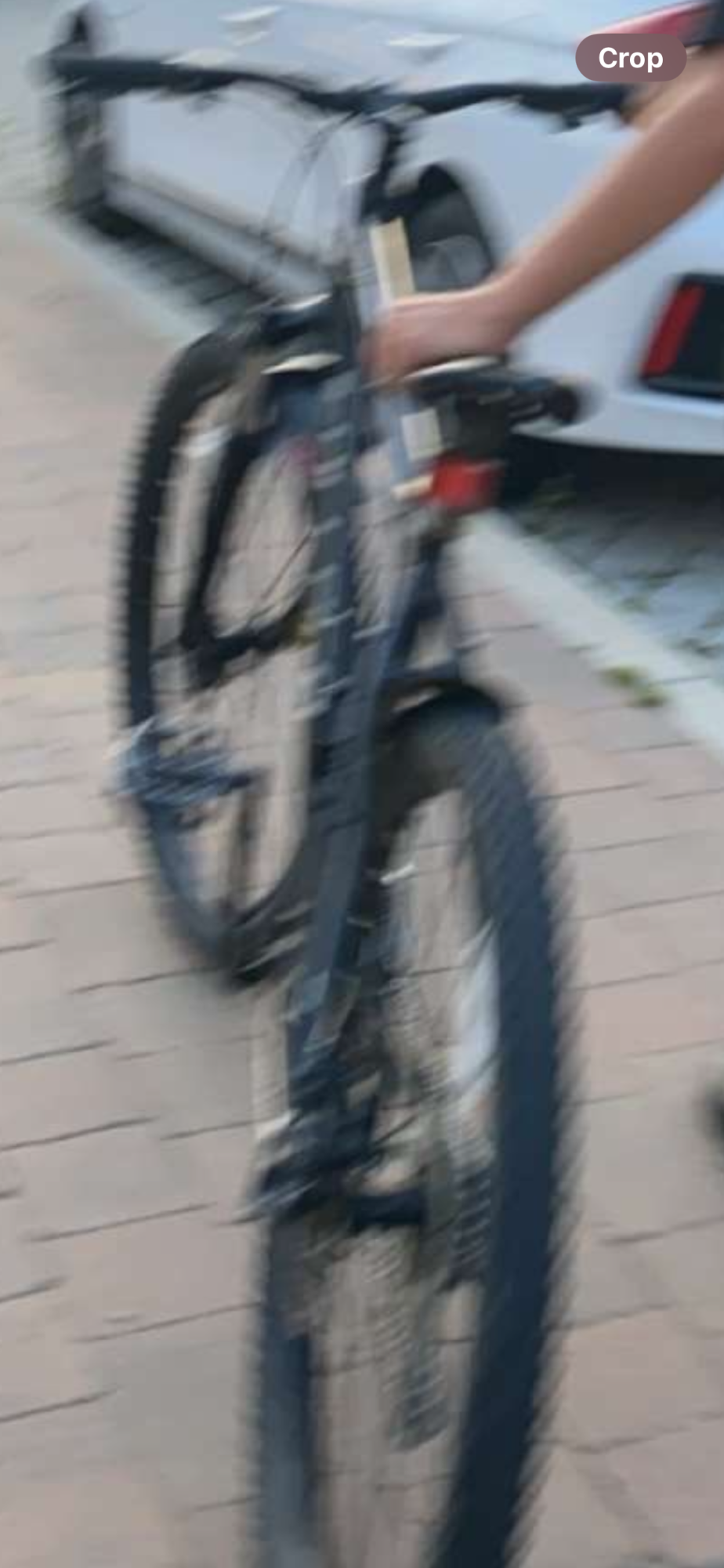 2024 Carrera bicycles Black