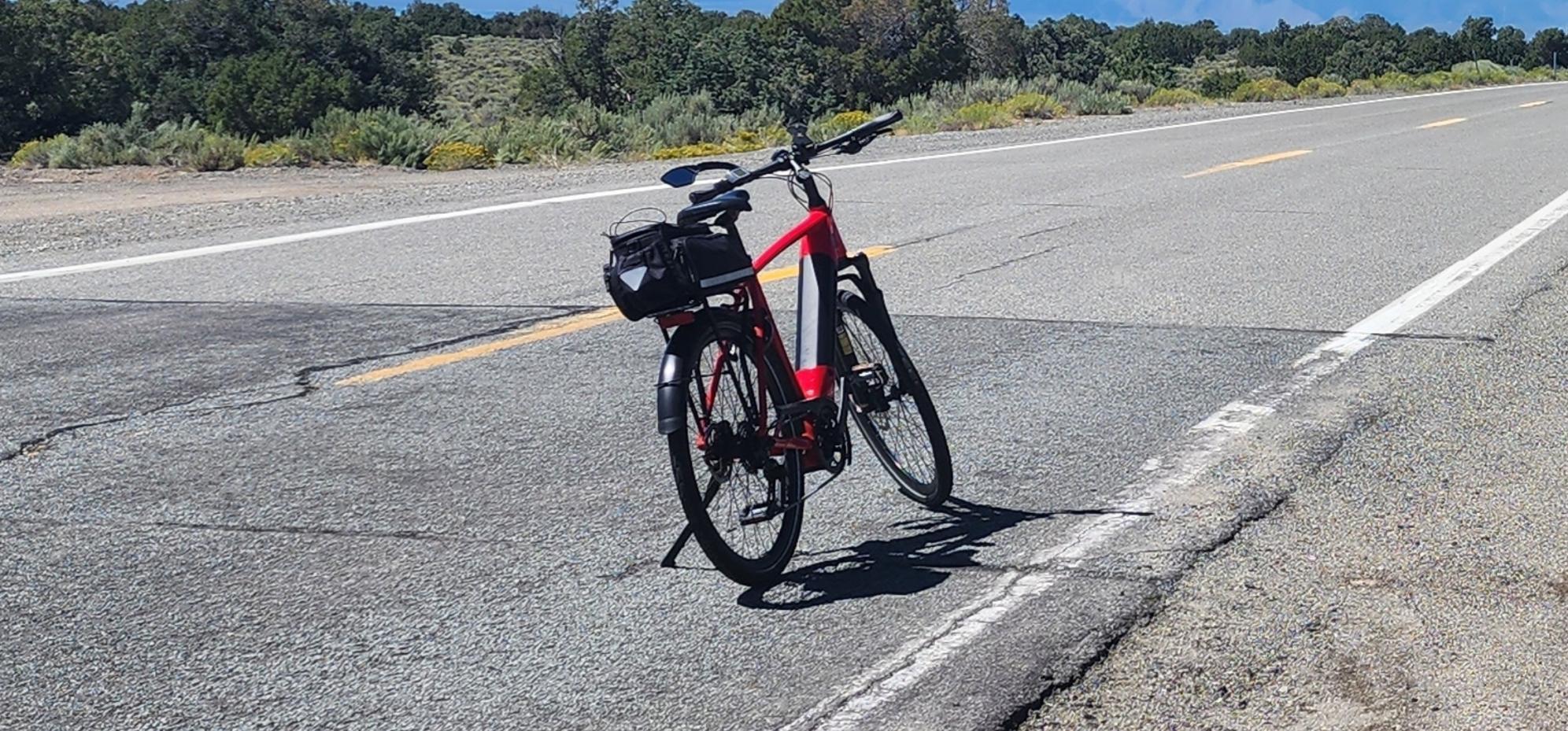 2022 Gazelle Ultimate T10+ HMB Red