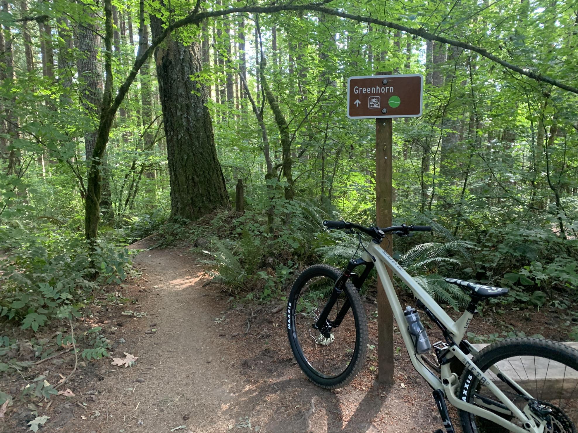 2021 Commencal Bikes Meta Tr Yellow or Gold