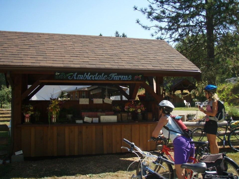 2006 Devinci Amsterdam Red