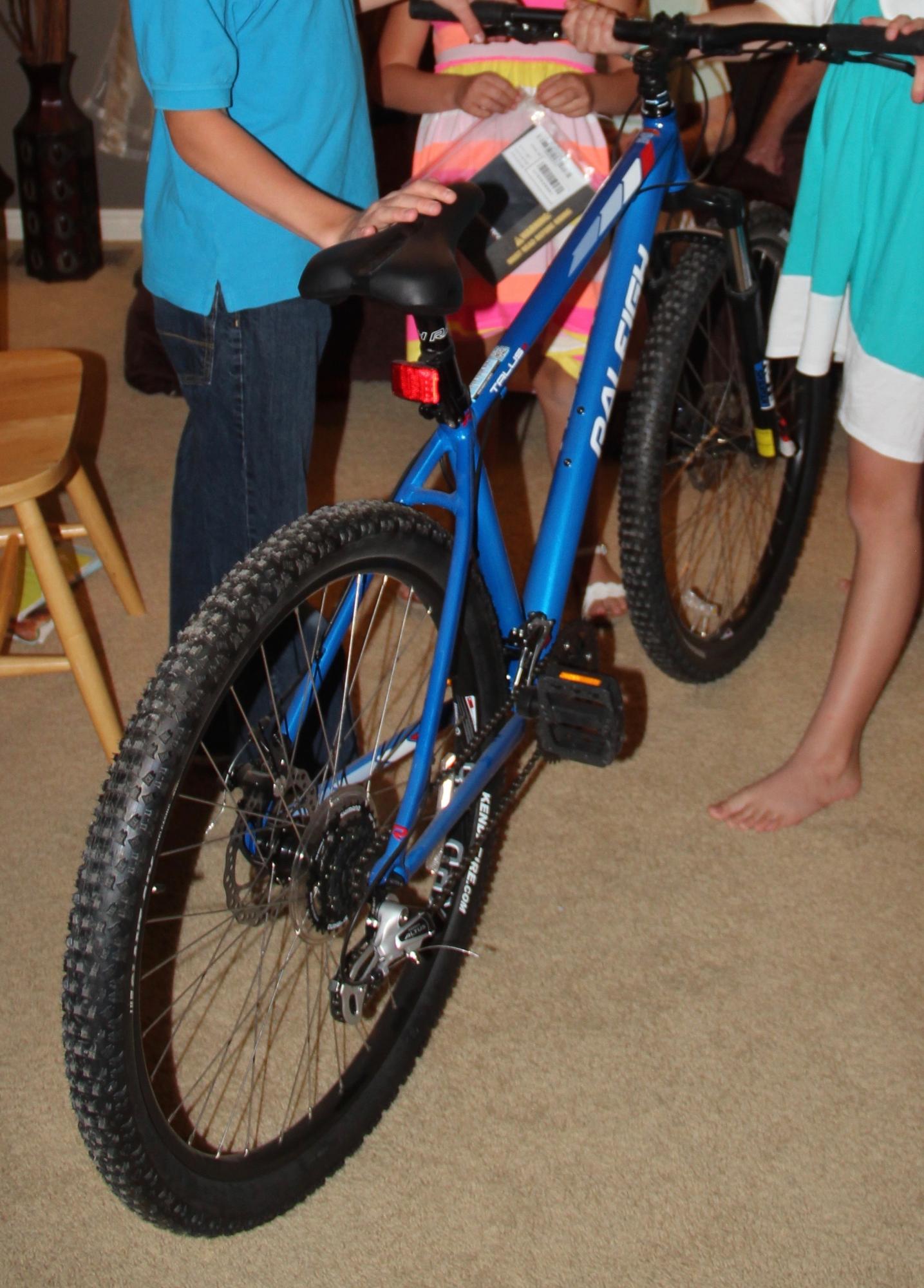 2016 Raleigh Talus 3 Blue