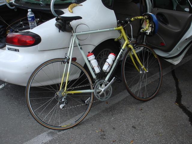 Maruishi Blue and Yellow or Gold