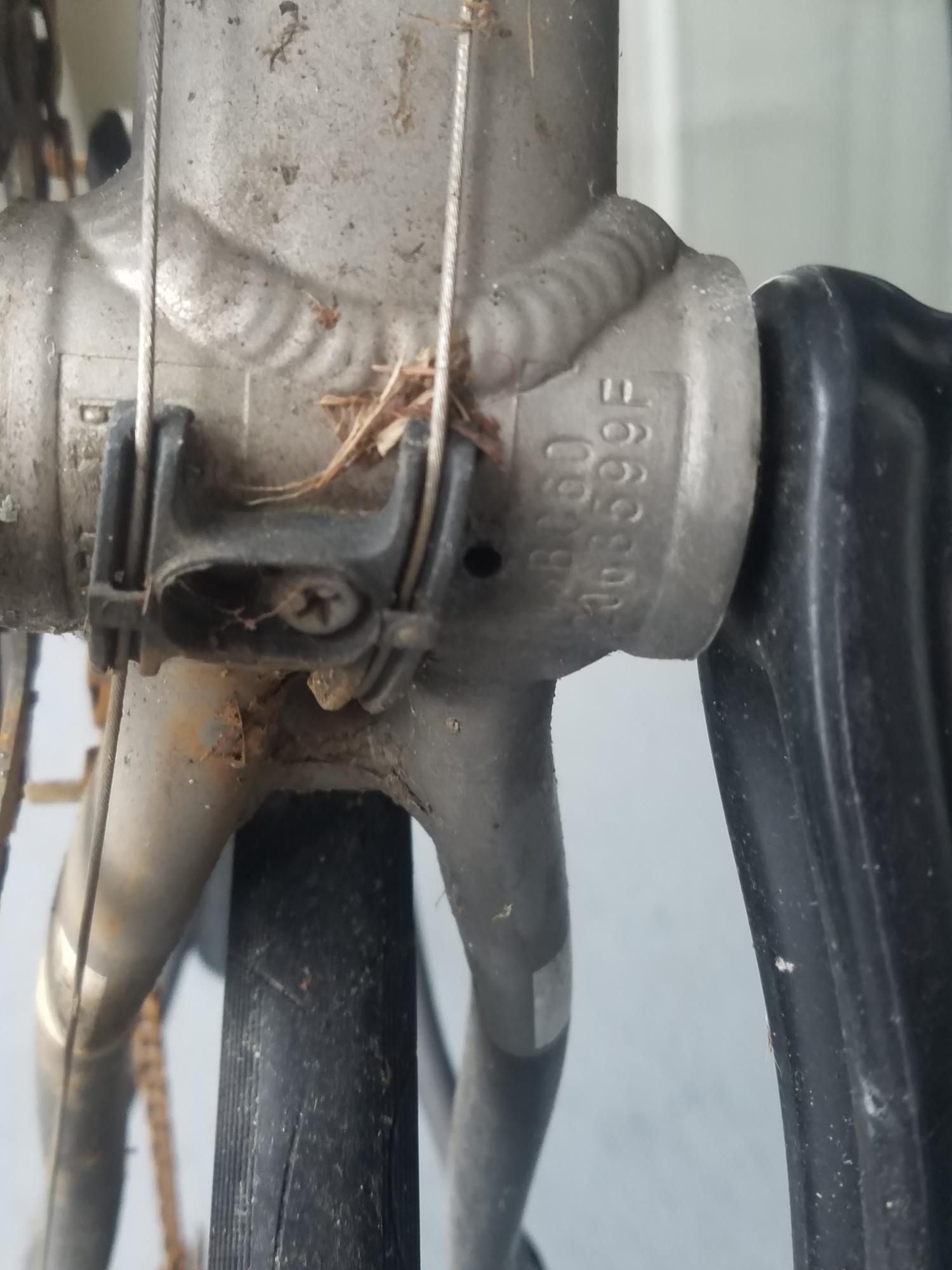 2012 Specialized Secteur Compact Silver, gray or bare metal