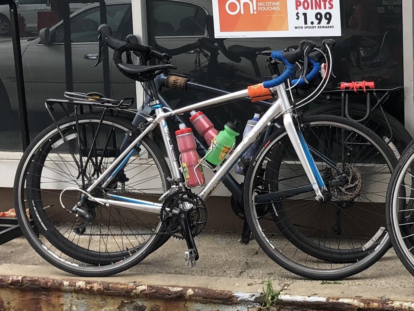 Trek Lexa Silver, gray or bare metal