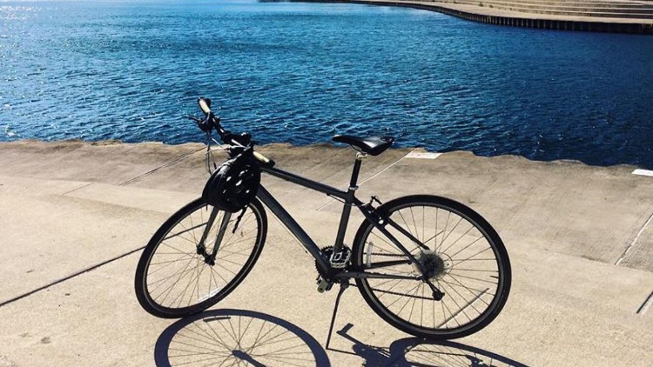 2012 Trek 7.3 FX Silver or Gray