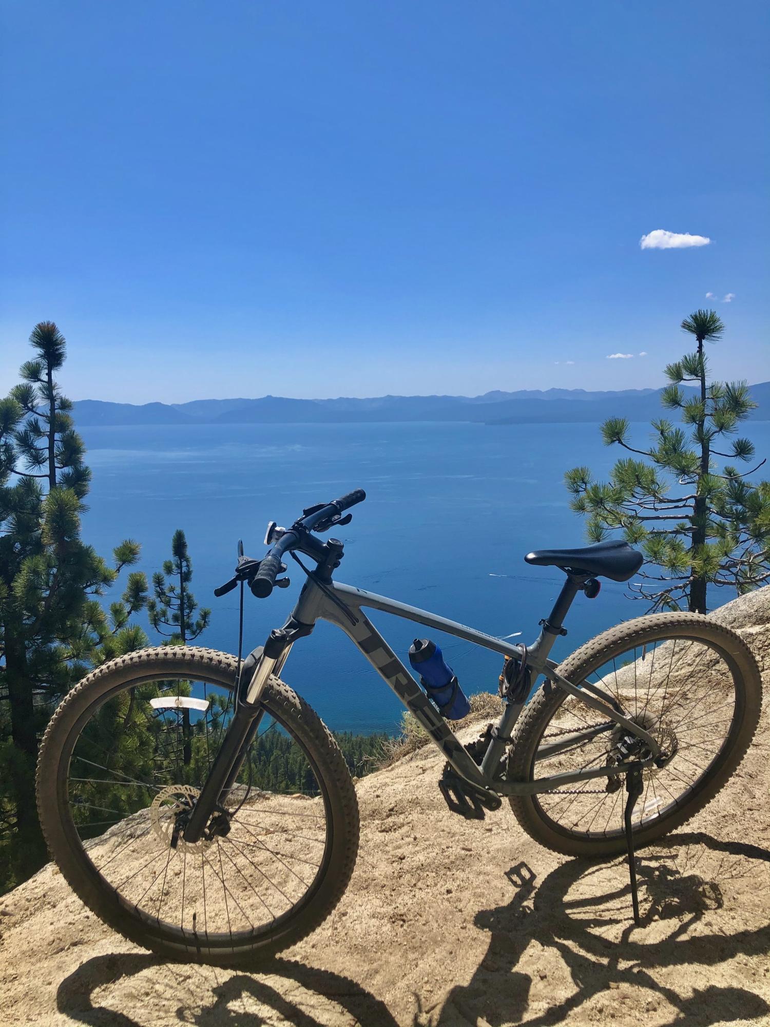 2020 Trek Marlin Silver, gray or bare metal