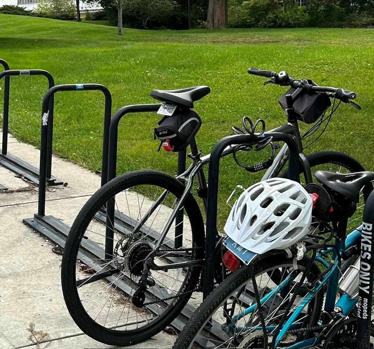 2020 Trek Verve 1disc Silver, gray or bare metal