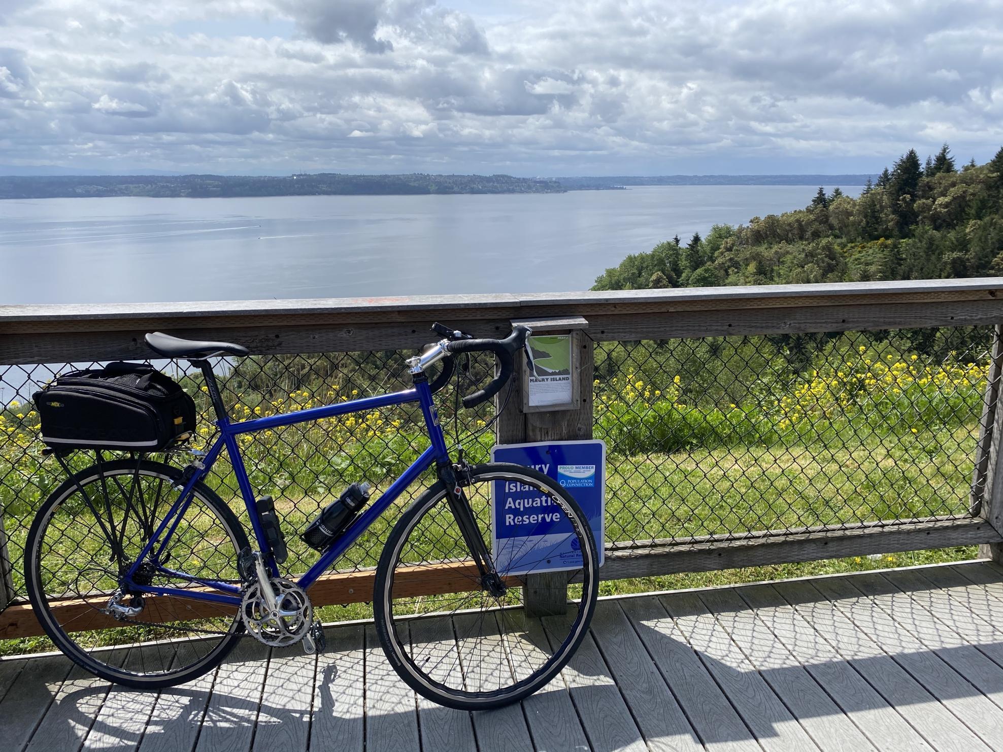 2019 Jamis Quest Blue