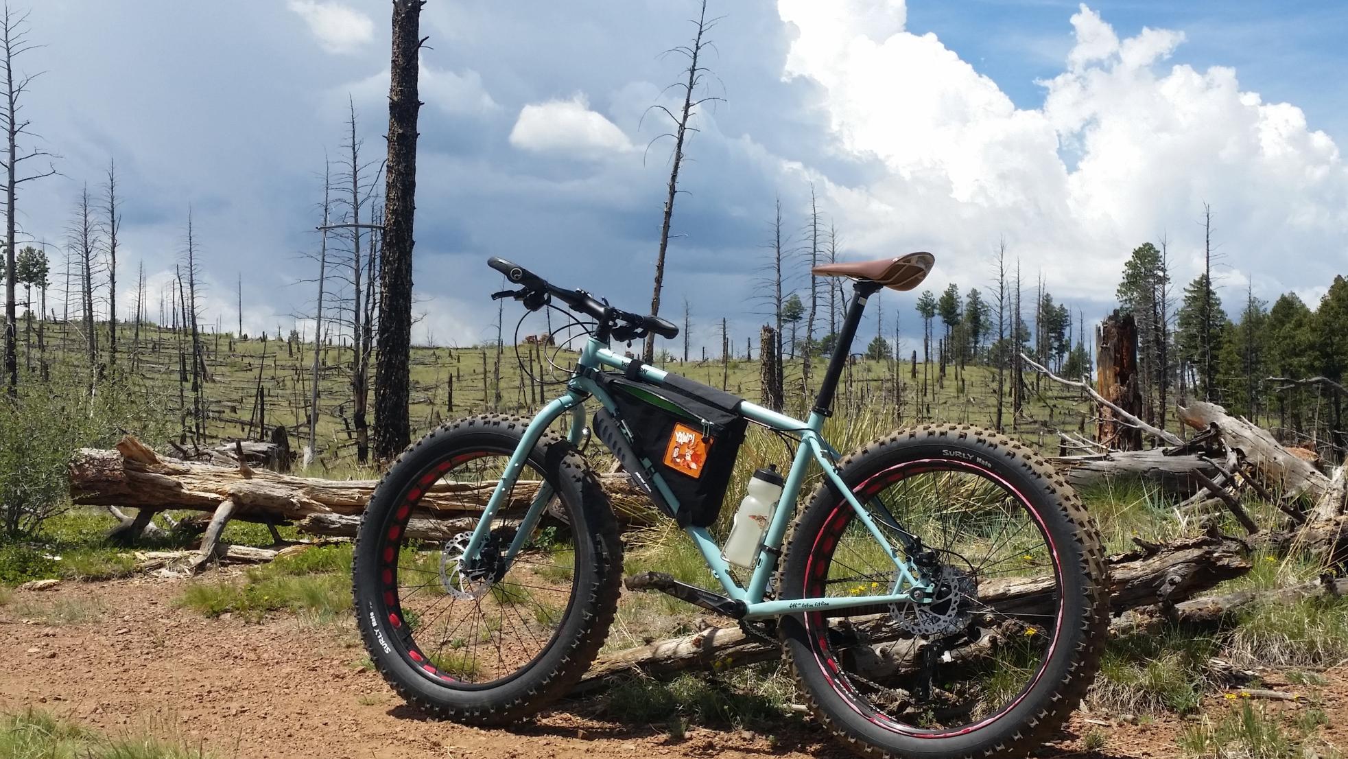 2016 Surly Wednesday Blue