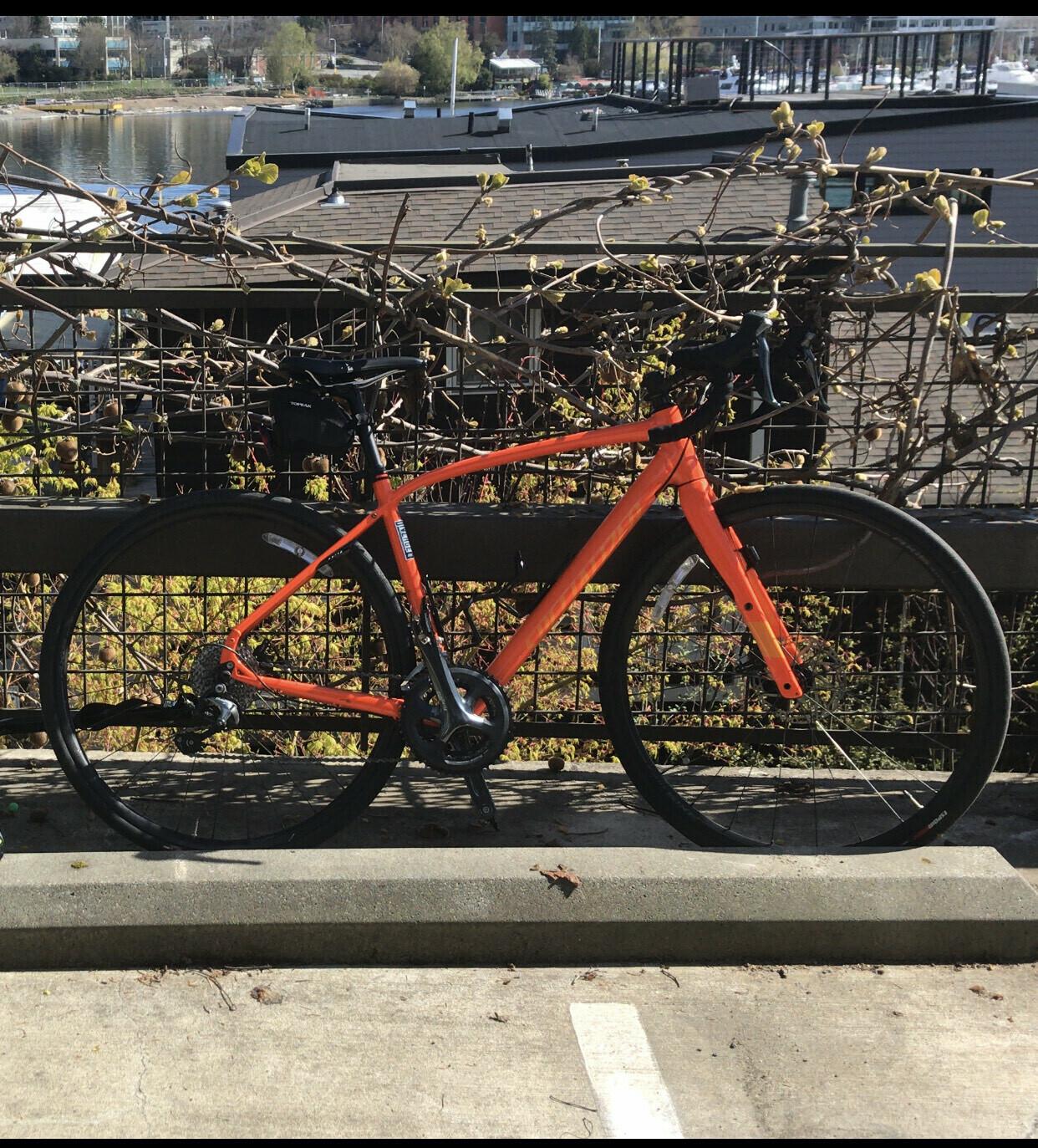 2016 Specialized Diverge Orange