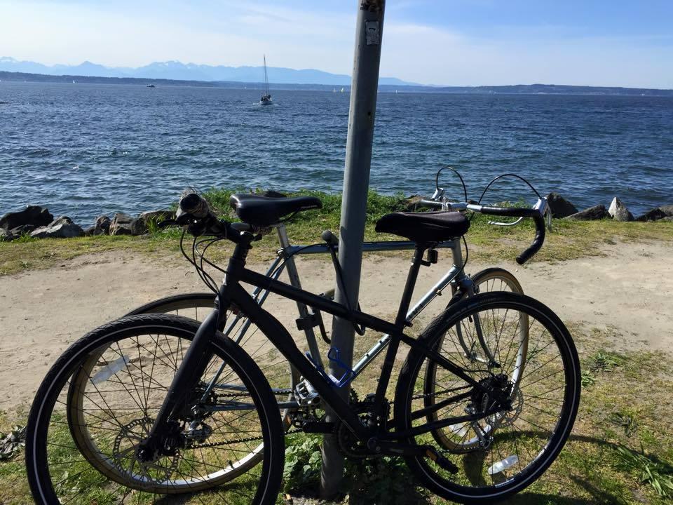 2014 Marin Bikes muirwood 29er Black