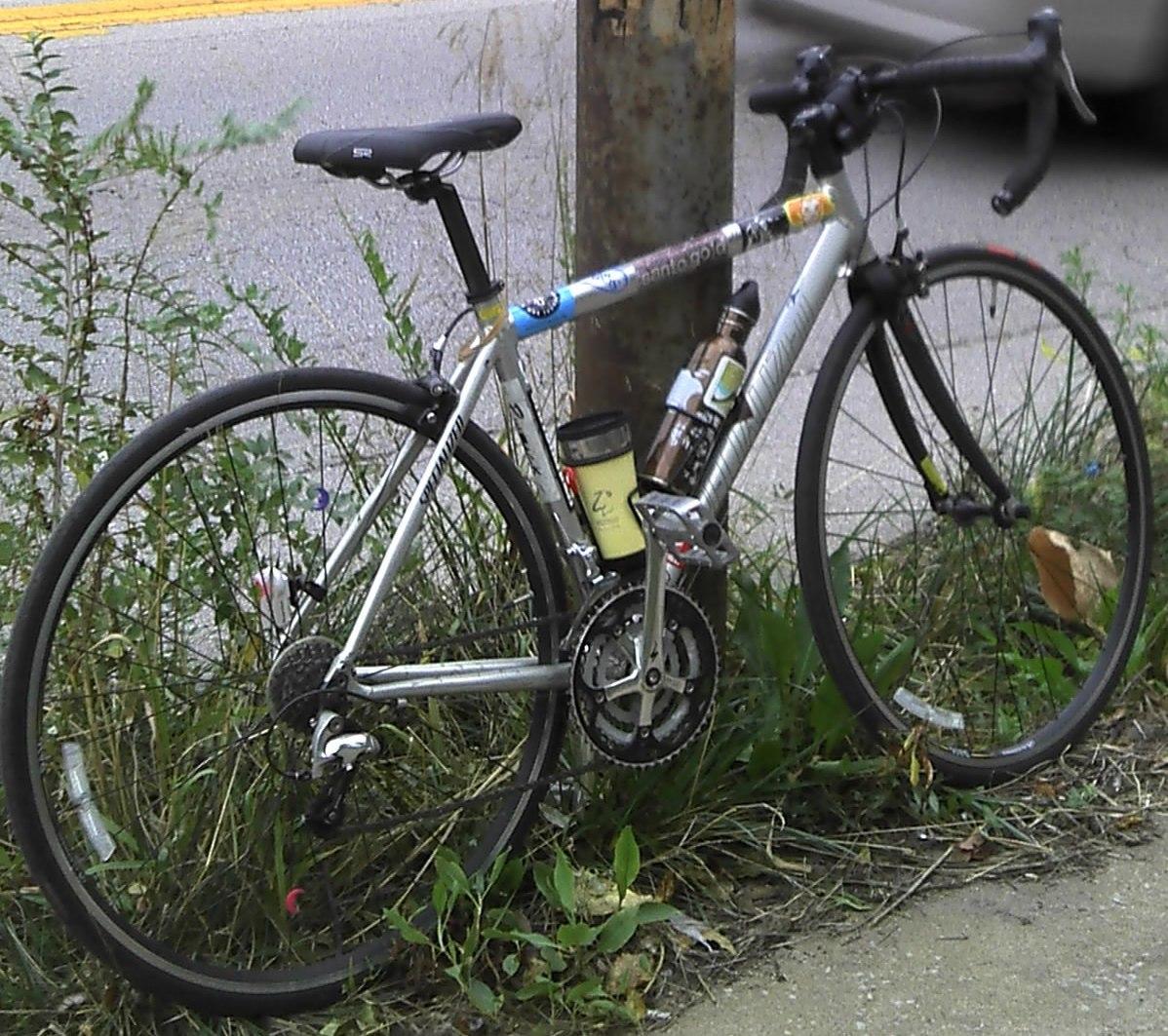 2005 Specialized Allez  Raw metal