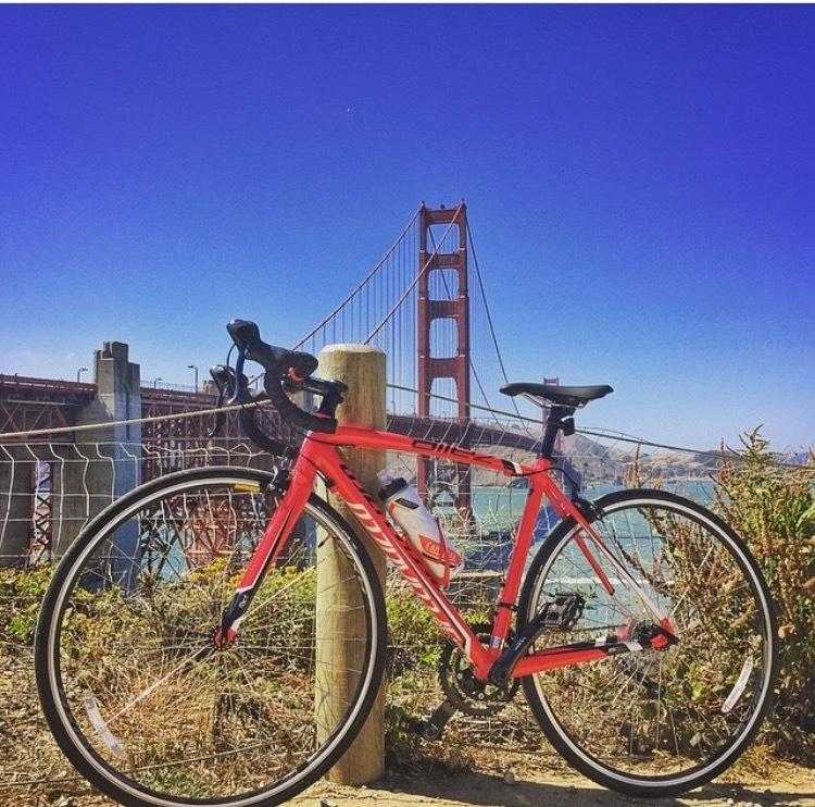 2015 Specialized Allez Sport Red