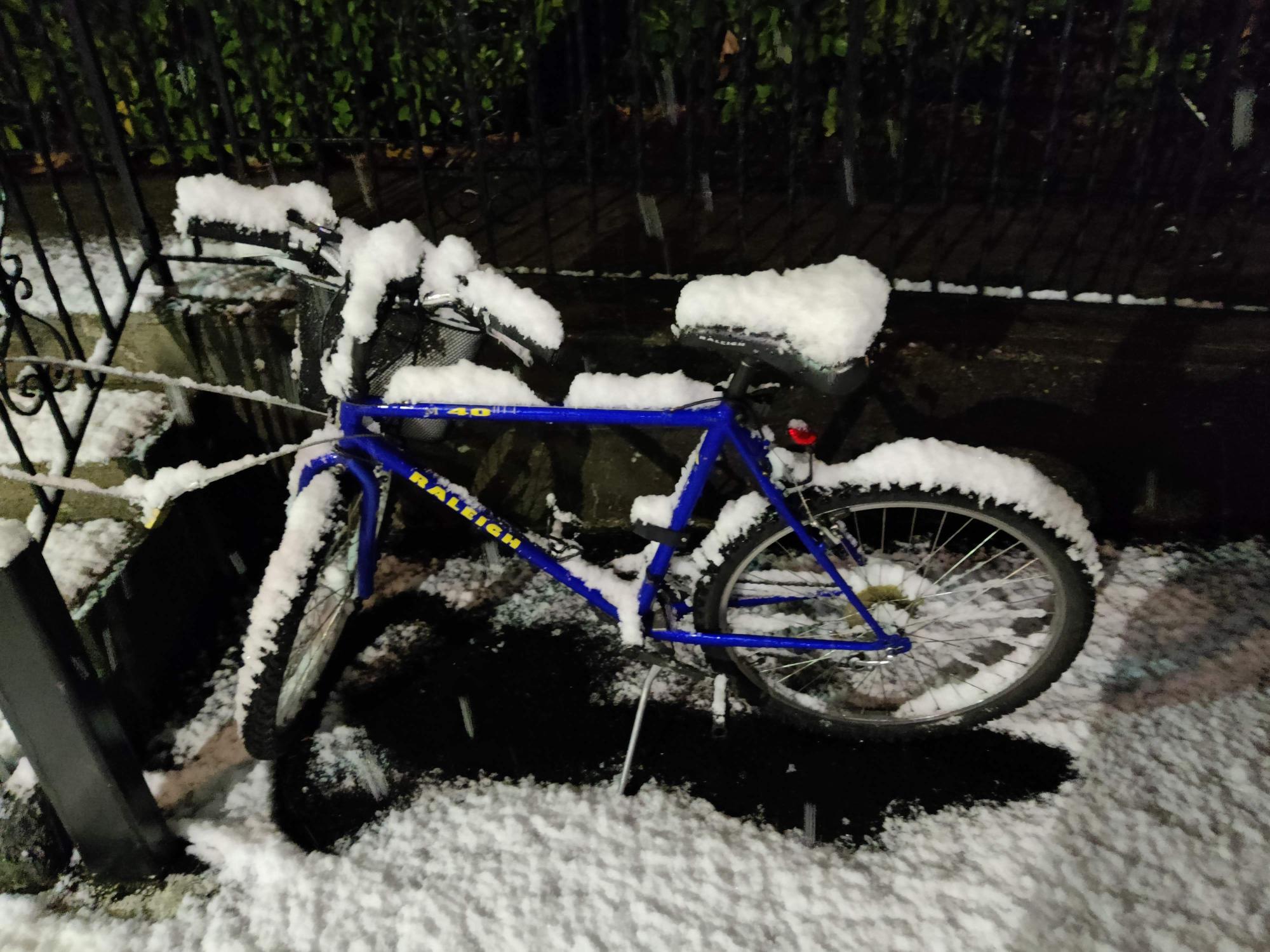 Raleigh M40 Blue