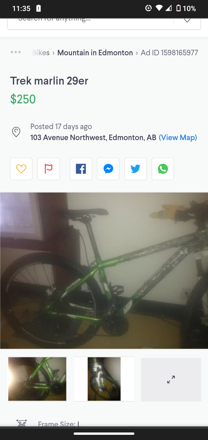 Trek Green, White, and Black