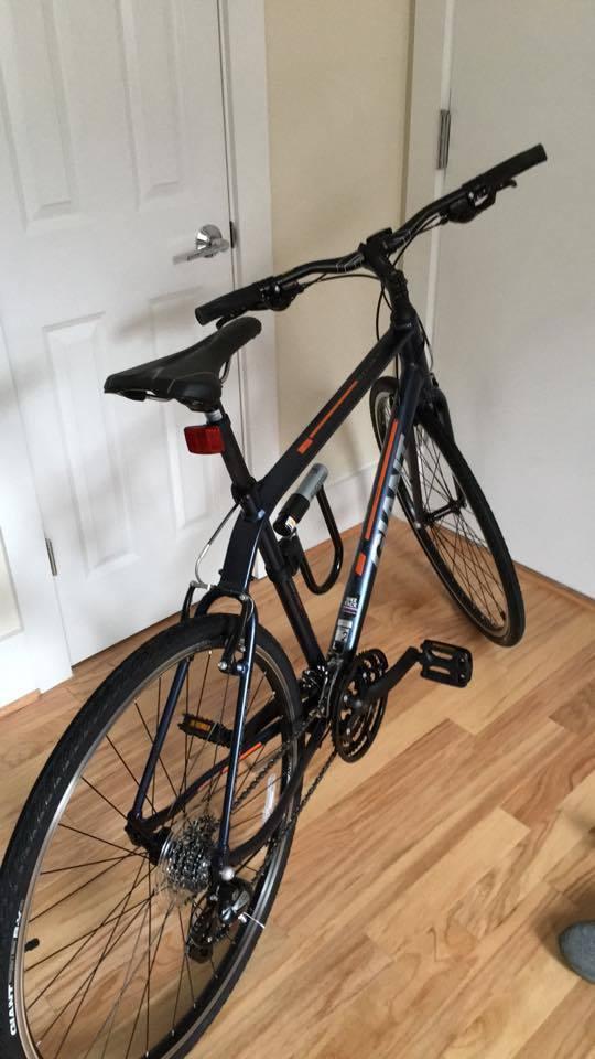 2016 Giant Escape Blue