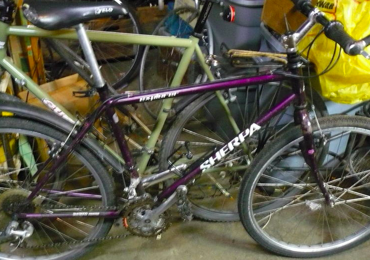 TEAM SHERPA TEAM TEAM SHERPA  Purple