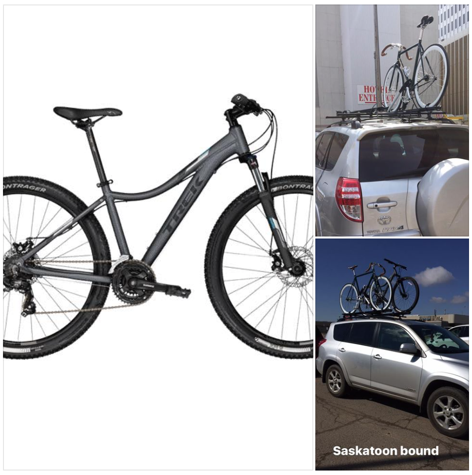 2017 Trek SKYE S WSD 17 29 MATTE METALLIC CHARCOAL Silver or Gray