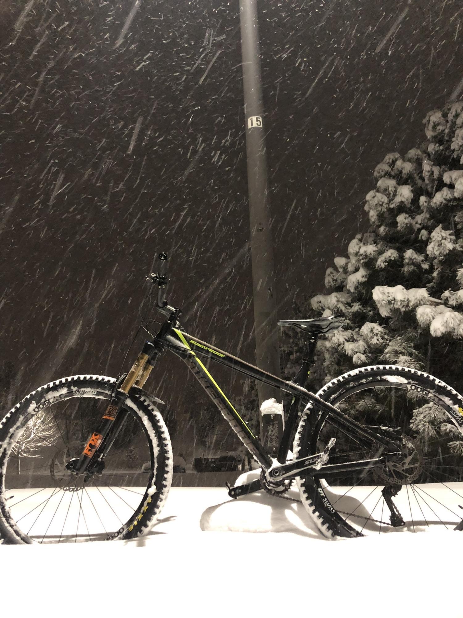 Nukeproof Scout Black and Silver, gray or bare metal